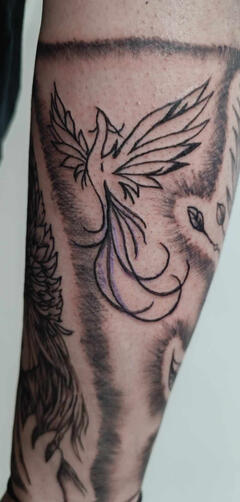 Татуировка Феникс в ръкав | Eliz Tattoo Studio