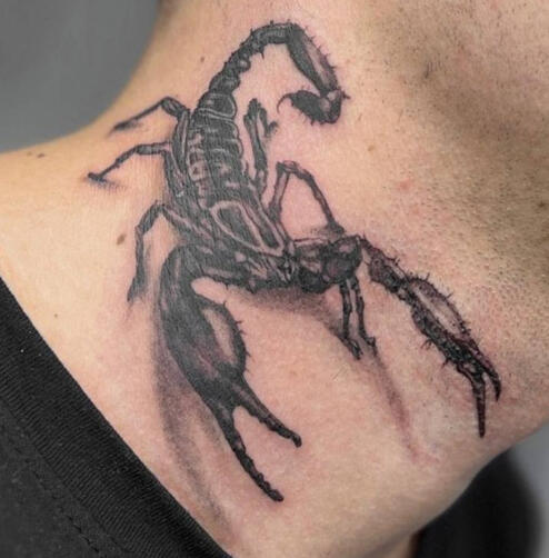 Татуировка 3Д Скорпион| Eliz Tattoo Studio