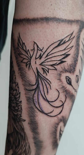 Татуировка Феникс | Eliz Tattoo Studio