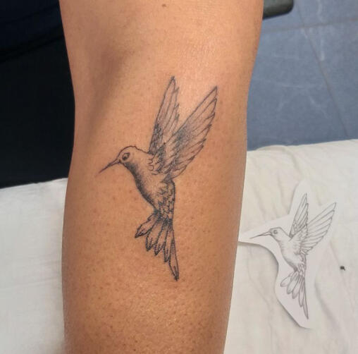 Колибри 2 татуировка колибри | Eliz Tattoo Studio
