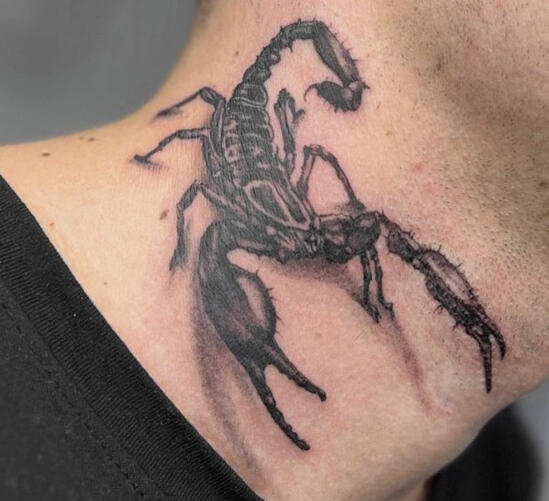 Скорпион татуировка 3D Скорпион | Eliz Tattoo Studio